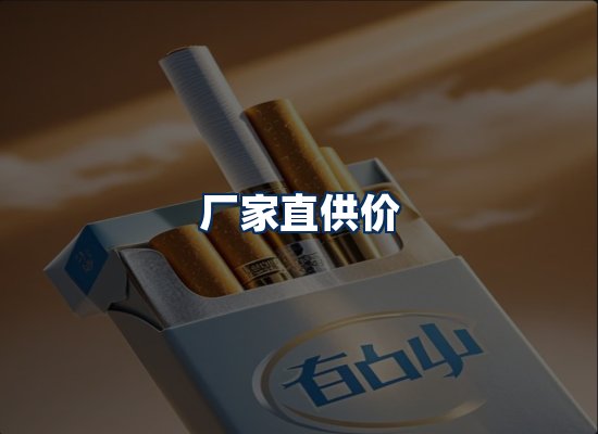专业团队办公环境